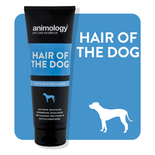 ANIMOLOGY HAIR OF THE DOG SHAMPOO 250 ML